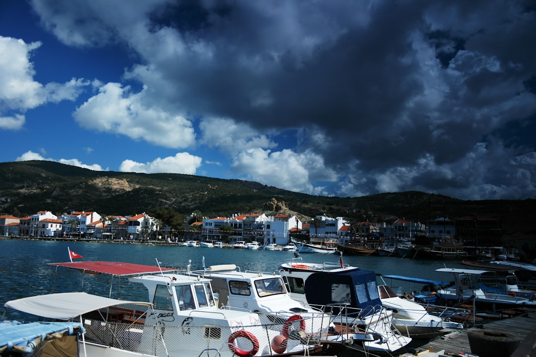 Chantier nautique bateaux port de plaisance